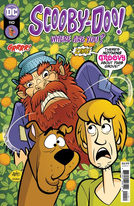 Scooby-Doo Where Are You #110 - Comics