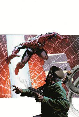 Amazing Spider-Man Vol 1 (1963) #687 Var - BACK ISSUES