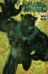 Black Panther #24 Quinones Variant - Comics