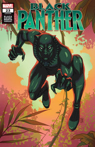 Black Panther #23 Souza Black Panther Black History Variant - Comics