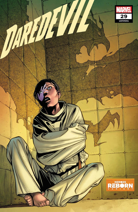 Daredevil #29 Pacheco Reborn Variant - Comics