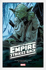 Star Wars Empire 40th Anniversary Cvr Sprouse #1 - Comics