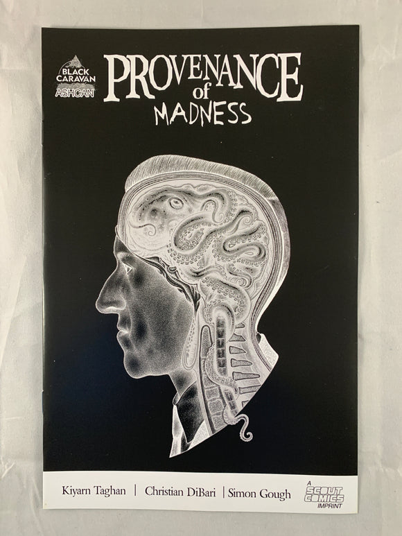 Provenance of Madness Ashcan Preview